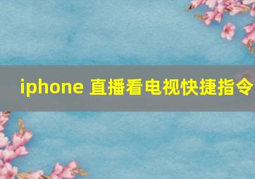 iphone 直播看电视快捷指令